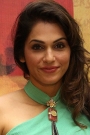 Isha Koppikar Film ve Dizileri