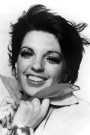 Liza Minnelli Film ve Dizileri
